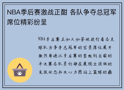 NBA季后赛激战正酣 各队争夺总冠军席位精彩纷呈